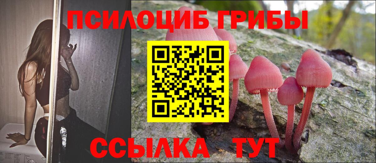 Салават  Псилоцибиновые грибы GOLDEN TEACHER  Вход с VPN  Галлюциногенные грибы мухоморы 
